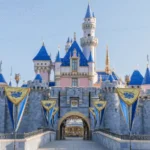 Can I use eZeeWallet to pay at Disneyland